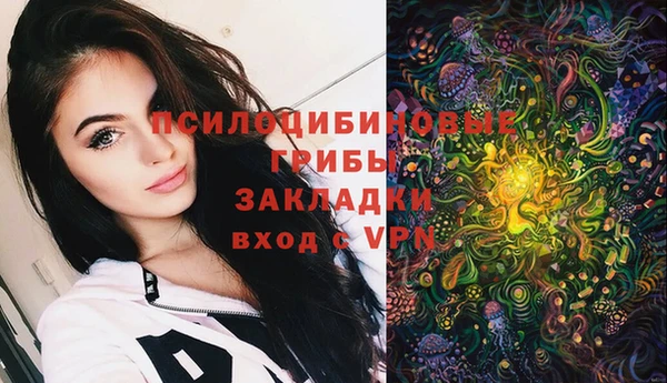 мет Алексин
