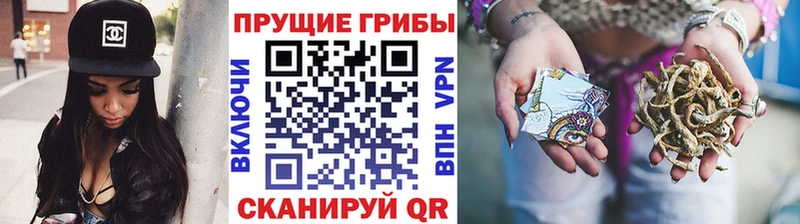 Галлюциногенные грибы MAGIC MUSHROOMS  Купить  Тарко-Сале 